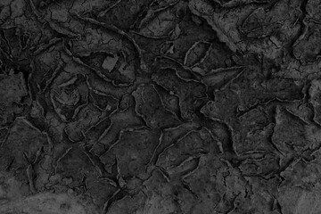 Fototapeta premium Dry stains of sediment