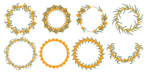 Big collection of sea buckthorn berry wreaths with green leaves, depicting circular compositions of the vibrant orange berries and luxuriant foliage.