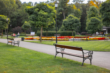 Letni dzień w Parku Miejskim w Wejherowie. Piękna roślinność w parku.  Bench in city park in Poland. © Lukasz