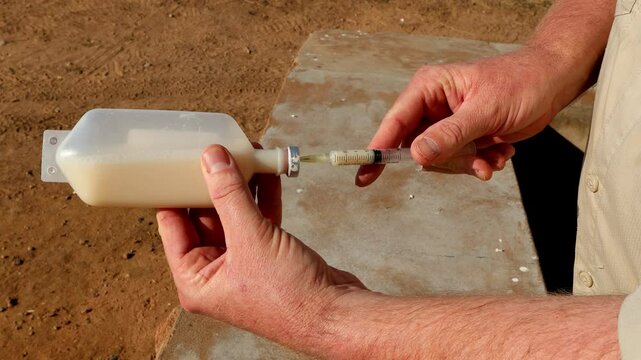 Veterinarian extracts livestock medicine into syringe on farm, top close-up view