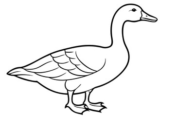 Goose line art vector, goose outline icon 