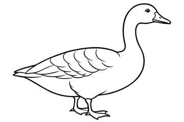 Goose line art vector, goose outline icon 