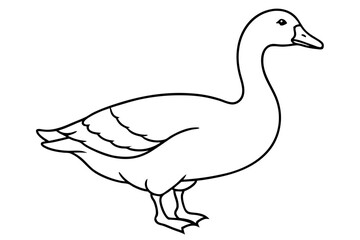 Goose line art vector, goose outline icon 