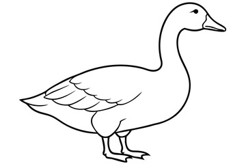 Goose line art vector, goose outline icon 