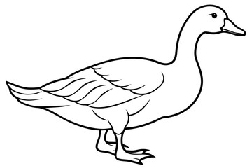 Goose line art vector, goose outline icon 