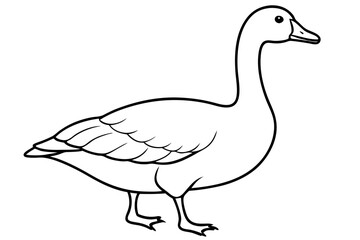 Goose line art vector, goose outline icon 