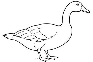 Goose line art vector, goose outline icon 