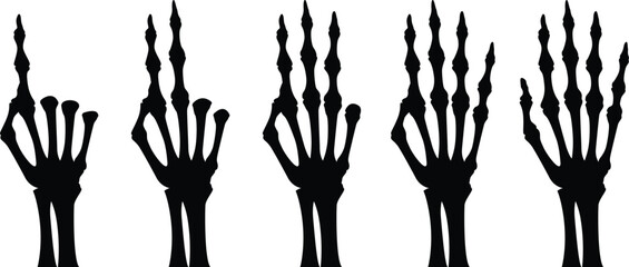 Fototapeta premium silhouette counting skeleton hands on transparent background, vector design