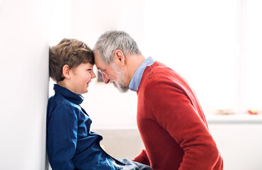 Grandfather spending time with grandson, taking care of him while parents are at work. Touching...