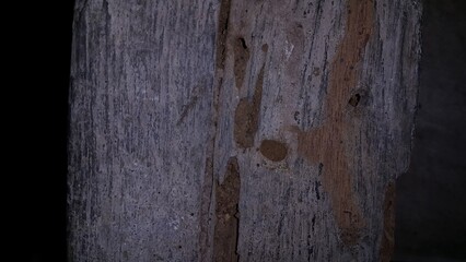 The texture of wood that has been eaten by termites.