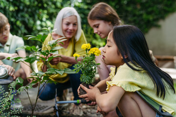 Young kids taking care of plants in school garden during at outdoor sustainable education class,...
