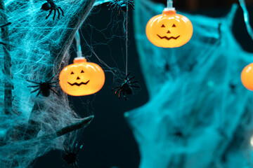 A little spider caught in a spider web. Halloween. Brightly colored pumpkins. Spider web and...