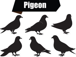 Fototapeta premium Pigeon Versatile Black Silhouette Vector Series