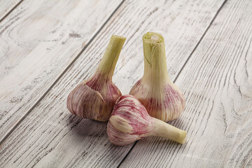 Young garlic heap for cooking