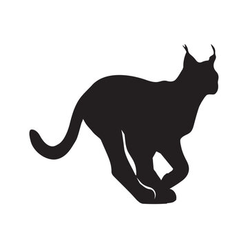 recommend clip art: Lynx silhouette collection , Silhouette of Black Lynx, isolated on white background (Vector)