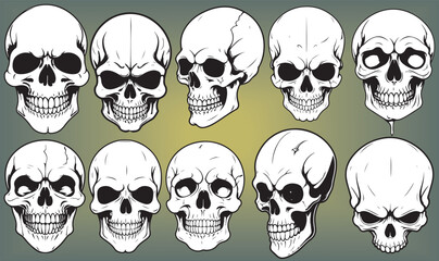 Skulls are frequently used in fashion designs, especially for rock bands, street wear, or gothic brands. Line art skulls can give a minimalist yet bold aesthetic.