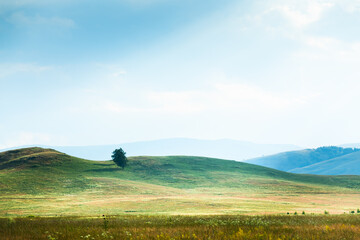 Fototapeta premium Hills and mountains with green grass in summer. Blue sky with clouds.