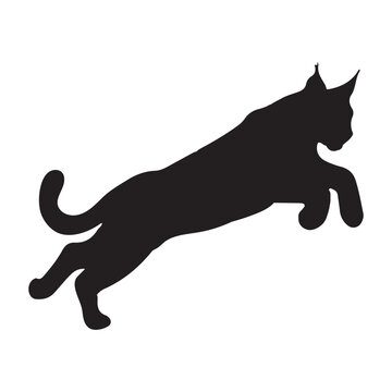 recommend clip art: Lynx silhouette collection , Silhouette of Black Lynx, isolated on white background (Vector)
