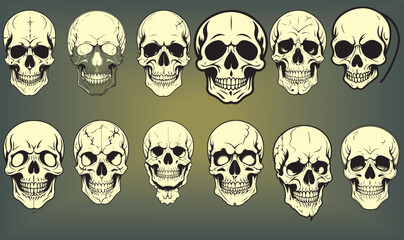 Skulls are frequently used in fashion designs, especially for rock bands, street wear, or gothic brands. Line art skulls can give a minimalist yet bold aesthetic.
