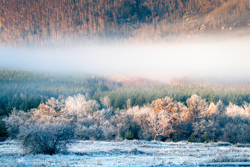 Frost-covered trees and grass in autumn forest at foggy sunrise. Clouds over the mountains and forest.