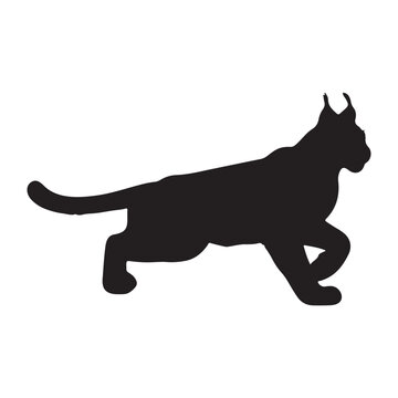 recommend clip art: Lynx silhouette collection , Silhouette of Black Lynx, isolated on white background (Vector)