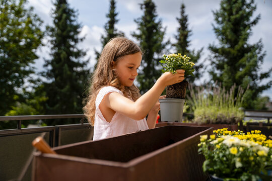Girl potting flower plant at balcony garden