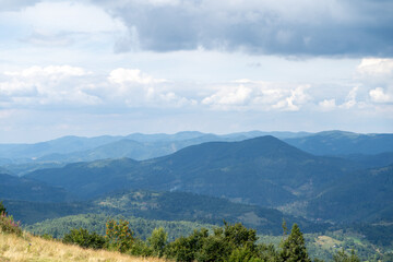 Fototapeta premium Mountains ranges Carpathian. Hill forest peak in summer