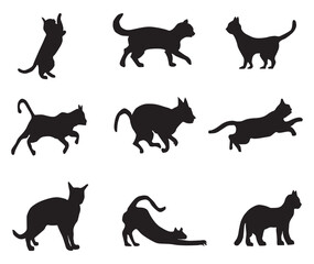 Silhouette of Cats vector.