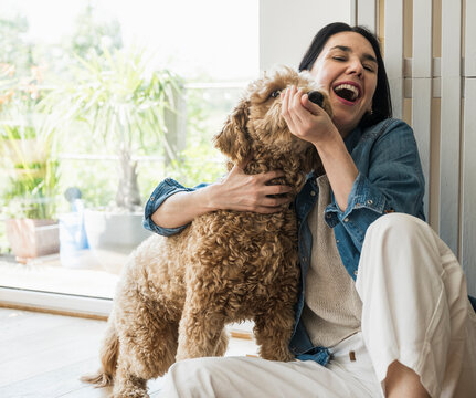 Cheerful woman playing with dog at home