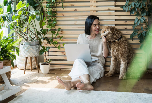 Happy woman working and feeding dog at home