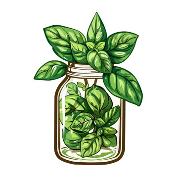 green basil leaves in glass jar clip art preview