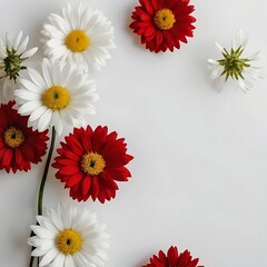 Obraz premium a bunch of red and white flowers with the word daisy on them,bouquet of chrysanthemums