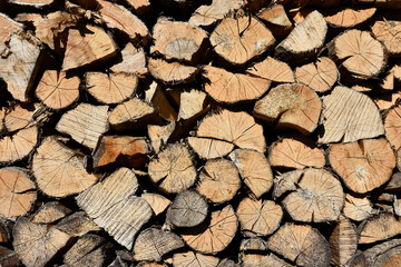 Firewood for the winter, stacked in a pile