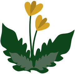 illustration of a flower
