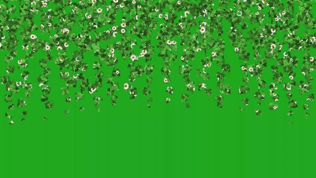 Hanging garlands with flowers and leaves for background decoration on green screen