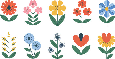 collection Set of beautiful blooming wild flowers from the garden botanical