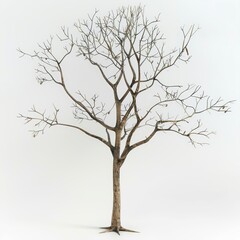 Obraz premium Brown Tree Trunk with Branches on White Background, Ideal for Nature and Wood Texture Studies Generative AI