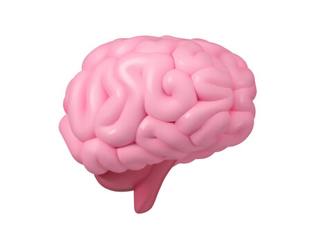 Brain vector 3d icon. Cartoon realistic illustration, isolated on white background. Mental health or mind inspiration concept.