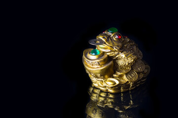 Money Frog with the coin symbolizing wealth and prosperity