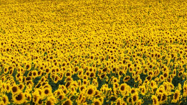 Theres allways a sun - Es gibt immer eine Sonne