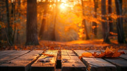 Autumn Table - Orange Leaves And Wooden Plank At Sunset In Forest,