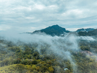 Aerial View of Traditional Bornean Village Surrounded by Lush Jungle
