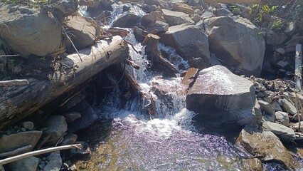 stream in the forest