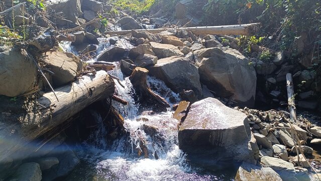 stream in the forest