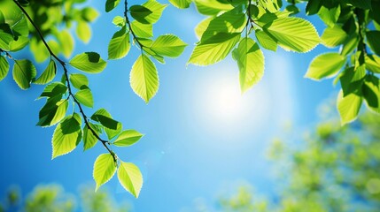 Obraz premium 40. Fresh green leaves on branches, with a crisp blue sky in the background, creating a natural and serene scene with room for text
