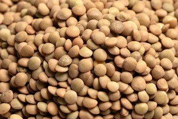 Sfondo di lenticchie crude, alimentazione biologica, cibo vegetariano
