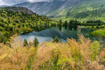 Obraz premium Wild nature in the Sary Chelek area in Rural Kyrgysztan