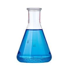 Erlenmeyer Flask Filled with Blue Liquid