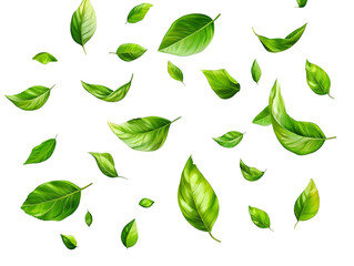 Abstract Green Leaves Pattern on Glitch Background
