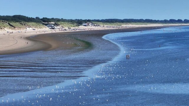 People strolling and exploring Rockanje beach at low tide. Aerial view